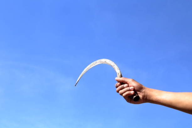 Cemburu Masa Lalu, Pria di Malang Tega Bacok Istri yang Hamil 4&nbsp;Bulan