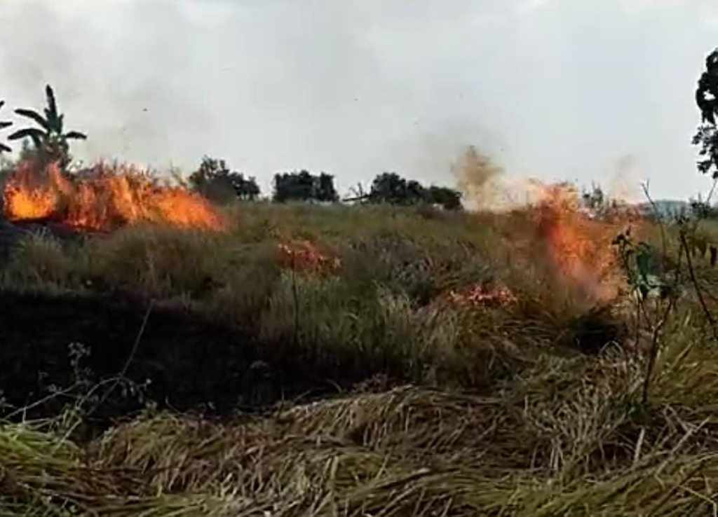 Satu Hektare Lahan Kering di Tuban Terbakar, Diduga Akibat Ulah Oknum Tak Bertanggung&nbsp;Jawab